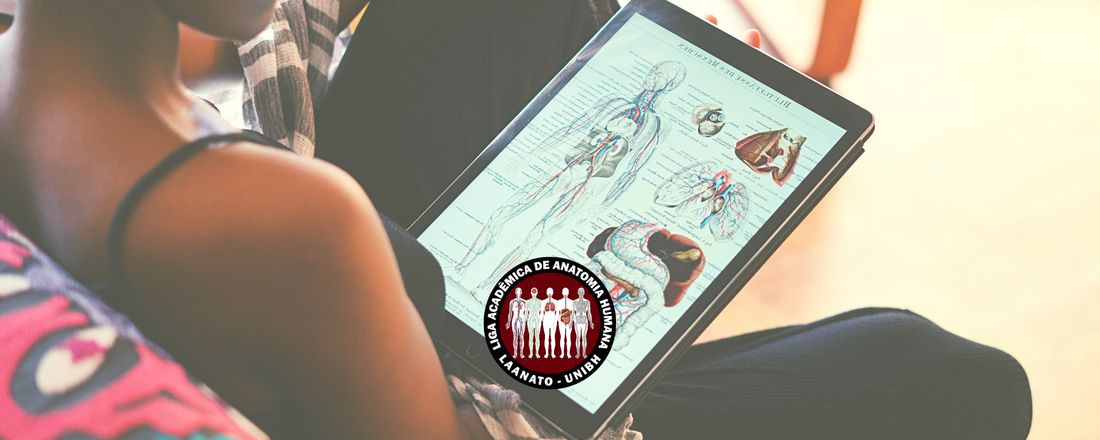 I Curso de Anatomia Humana Aplicada a Clínica