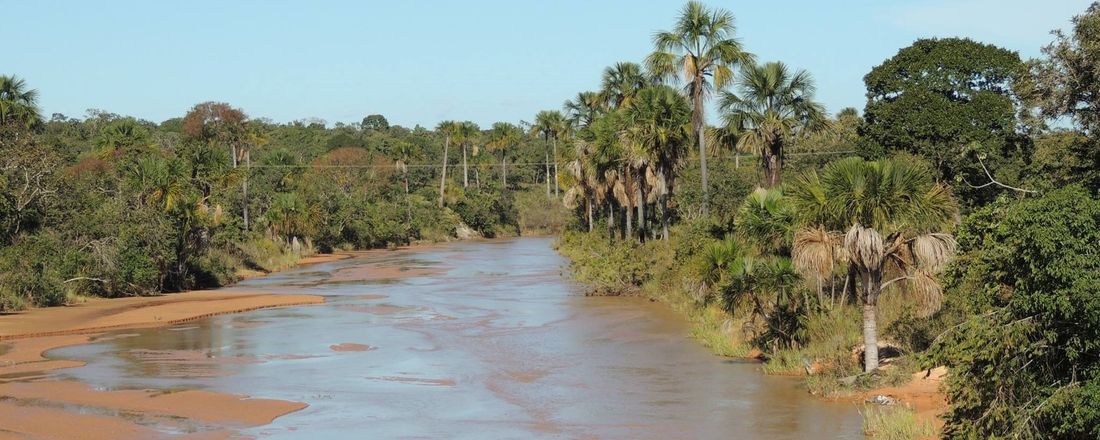 Ecoturismo: um fator para o fortalecimento da economia no vale do Urucuia