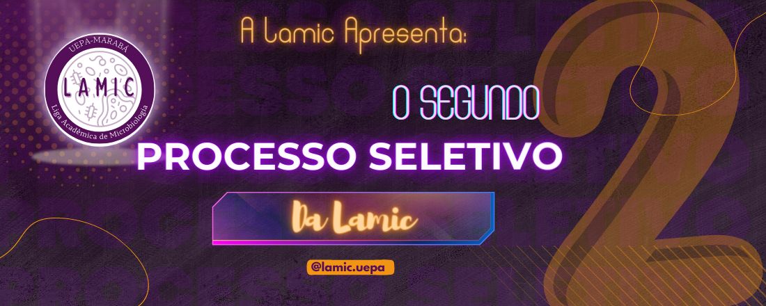 2º Processo Seletivo da Lamic