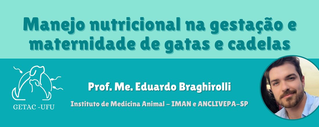 Manejo nutricional na gestação e maternidade de gatas e cadelas