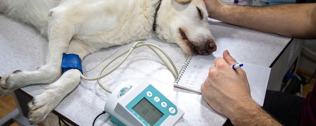 CONGRESSO MÉDICO VETERINÁRIO EM ANESTESIOLOGIA NO BRASIL (CMEVAB)