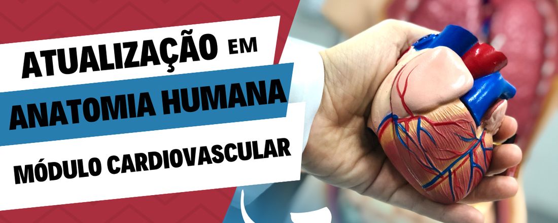 Atualização em Anatomia Humana: Módulo Cardiovascular