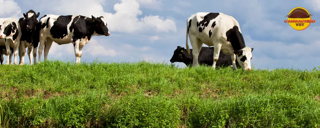 TREINAMENTO EM SAÚDE E PRODUÇÃO LEITEIRA