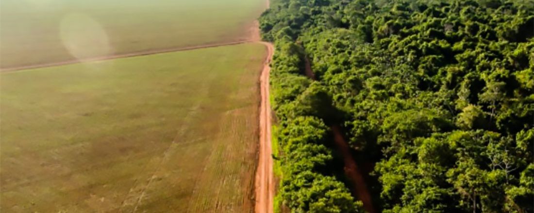 A Relação do Agronegócio com a Destruição da Amazônia e as Consequências para os Povos Indígenas