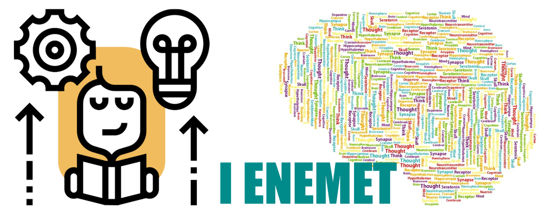 I Encontro Nacional de Estudos em Metacognição