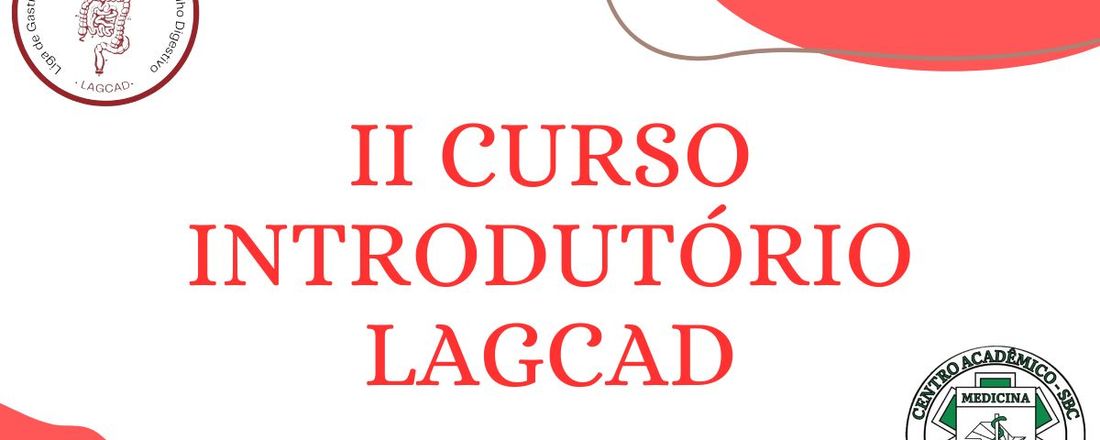 II Curso Introdutório LAGCAD