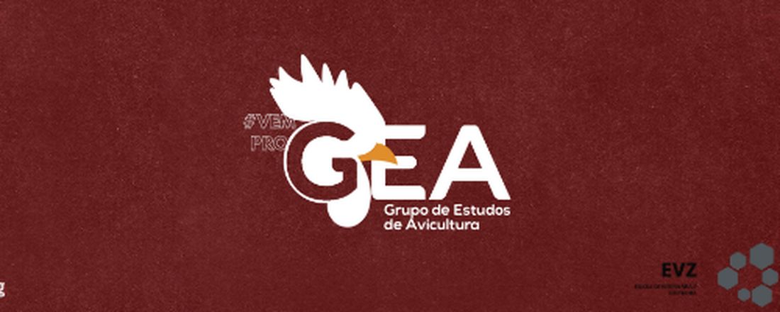 Influenza Aviária e os Impactos na Avicultura