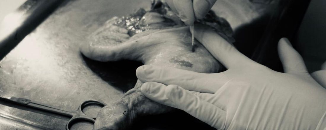 CURSO BÁSICO EM CIRURGIA PLÁSTICA PARA ACADÊMICOS: ENXERTOS E RETALHOS