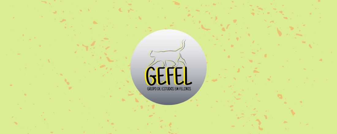 Felv: o que é a leucemia felina?