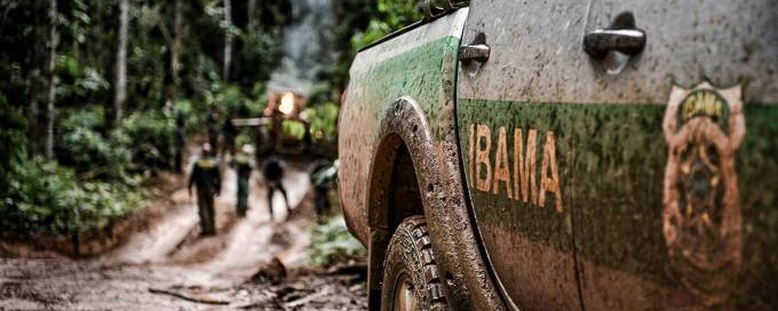 Atuação do Instituto Brasileiro de Meio Ambiente e dos Recursos Renováveis (IBAMA)