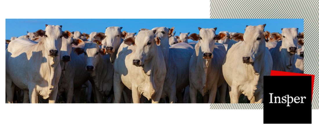 Governança na sustentabilidade da cadeia da carne bovina