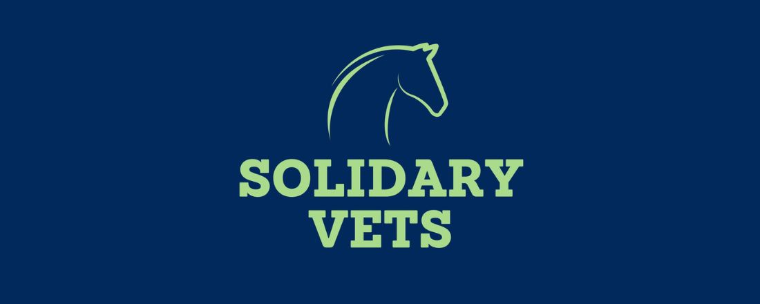 II Ciclo de Palestras Solidary Vets