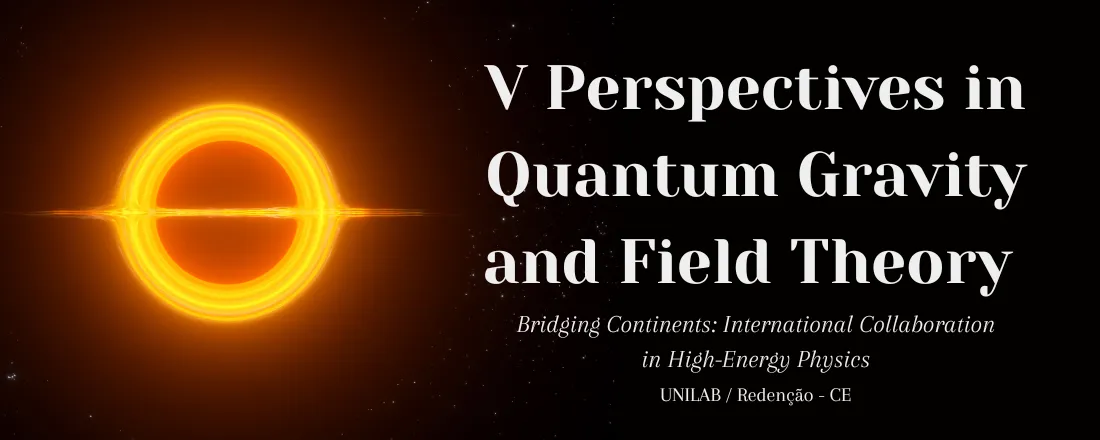 V Perspectives in Quantum Gravity and Field Theory