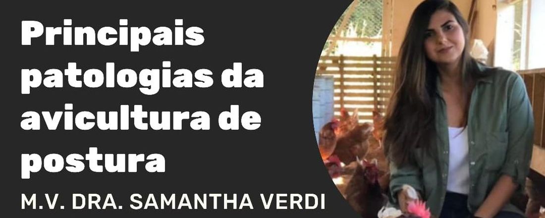 Principais patologias da avicultura de postura