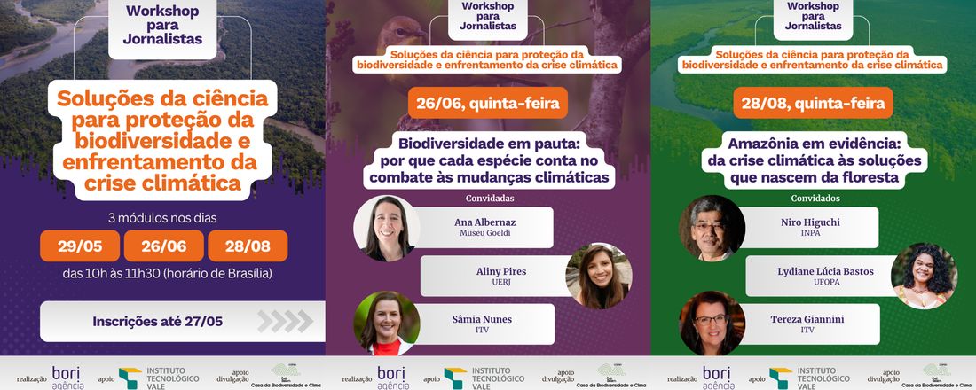 Evento ITV e Bori para jornalistas - preparação para COP30