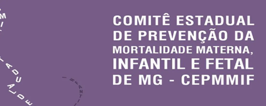 13º Encontro de Formação Continuada do CEPMMIF-MG - SUS Fácil e Rede Obstétrica