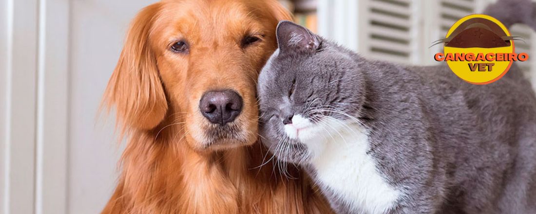 MEGA CURSO APLICADO DE HOMEOPATIA VETERINÁRIA