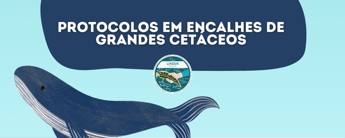 Protocolos em Encalhes de Grandes Cetáceos