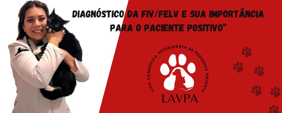 Diagnóstico da FIV/FELV e sua importância para o paciente positivo”