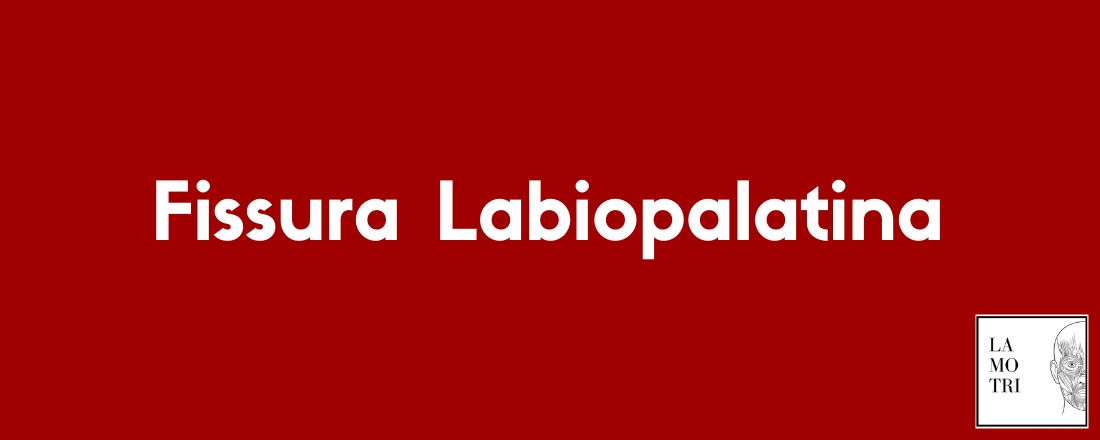 Palestra Online sobre Fissura Labiopalatina