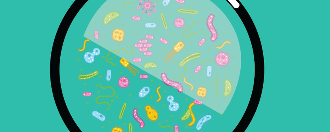 Microbiologia Doméstica e Boas Práticas na Cozinha