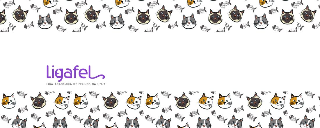 Ciclo de Palestras Online sobre o Trato Urinário de Felinos