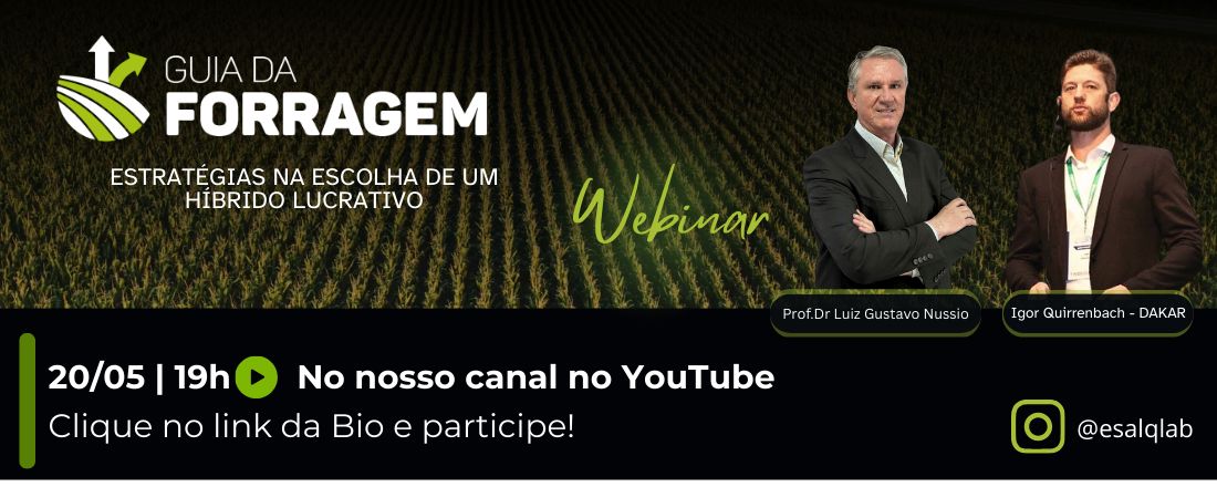 Guia da Forragem - Estratégia na Escolha de um Híbrido Lucrativo