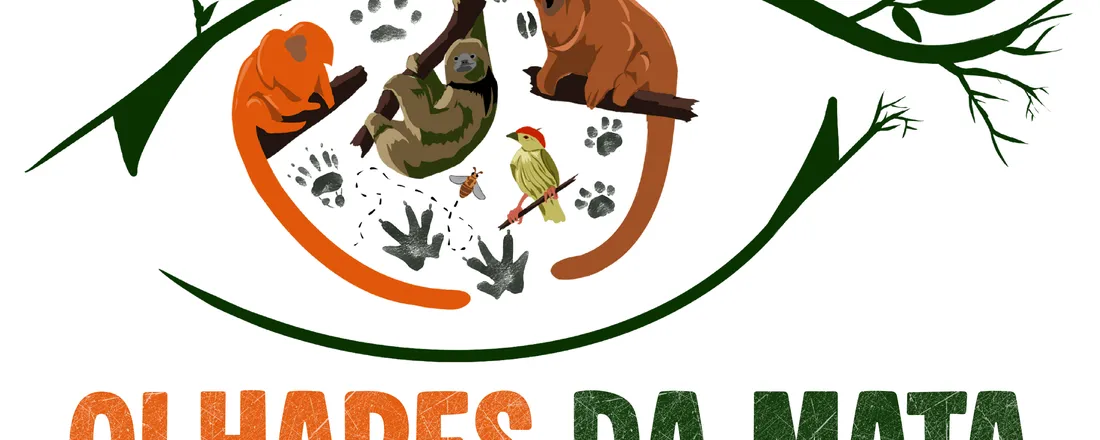 Olhares da Mata