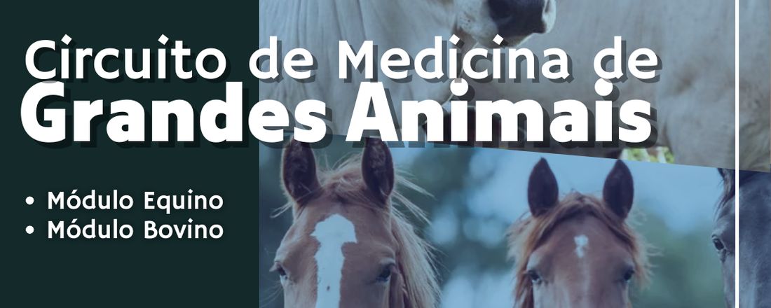 Circuito de Medicina de Grandes Animais