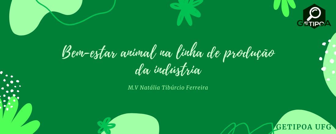 Bem-estar animal na linha de produção da indústria