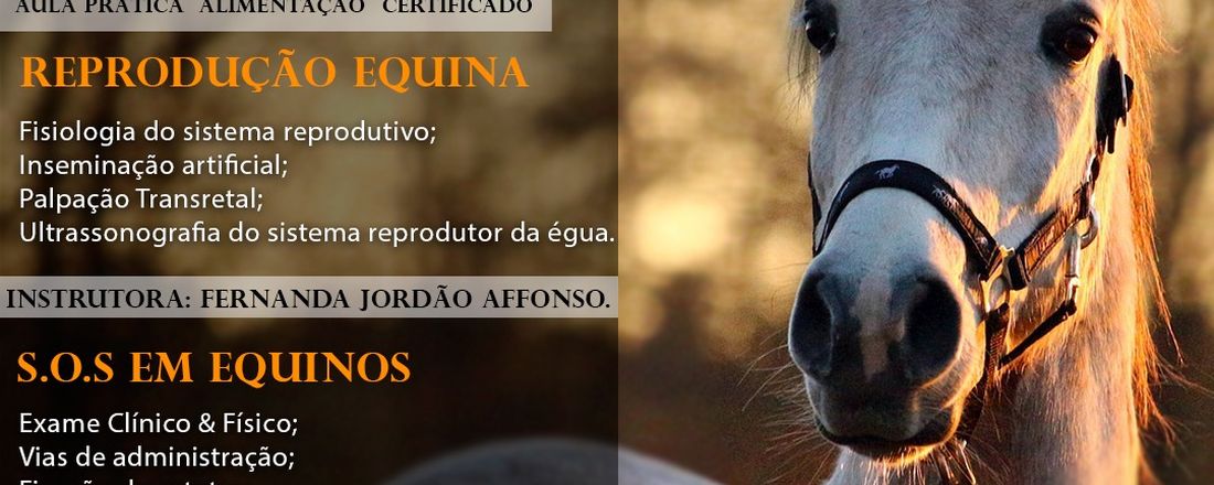 Curso de S.O.S é Reprodução em Equinos