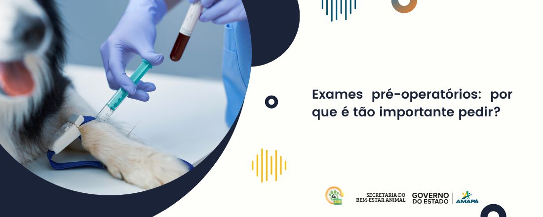 Exames pré-operatórios: por que é tão importante pedir?