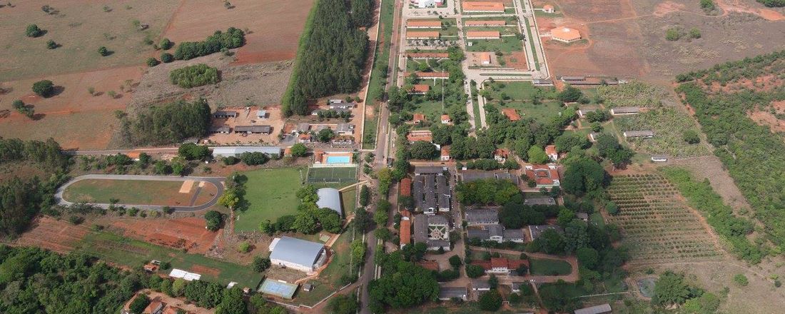 VI Congresso Estadual de Iniciação Científica e Tecnológica do IF Goiano