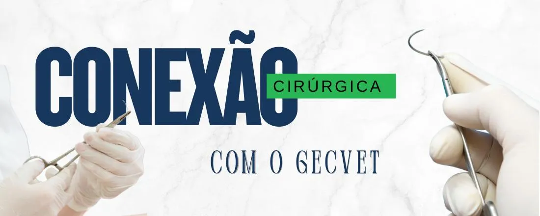 Minicurso: Abordagens Clínicas e Cirúrgicas em Sistema Reprodutor de Cadelas e Gatas