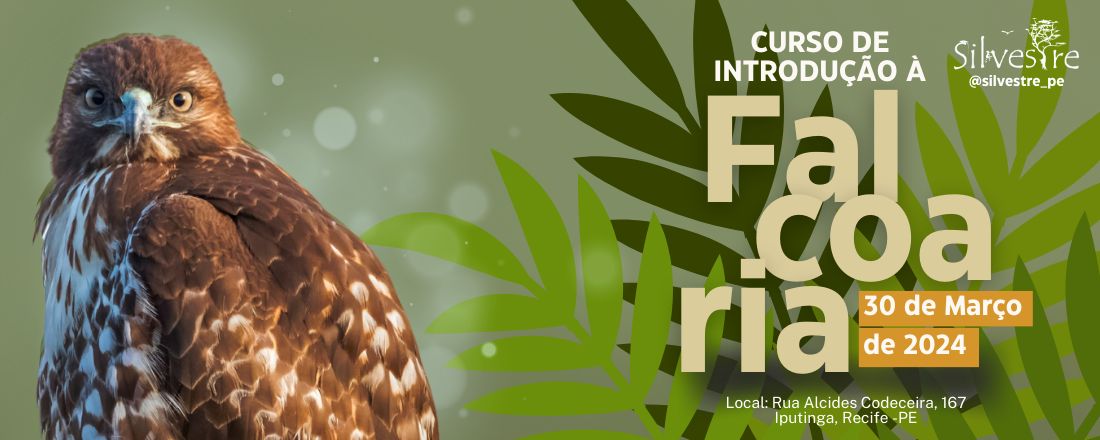 Curso de introdução à falcoaria