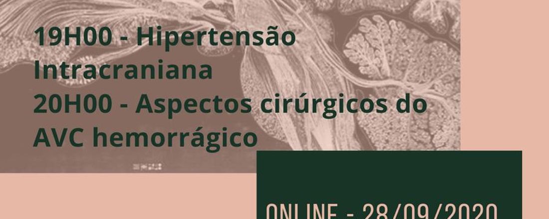 VII Curso Introdutório - LANCI