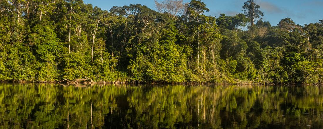 III CONGRESSO AMAPAENSE DE ENGENHARIA FLORESTAL