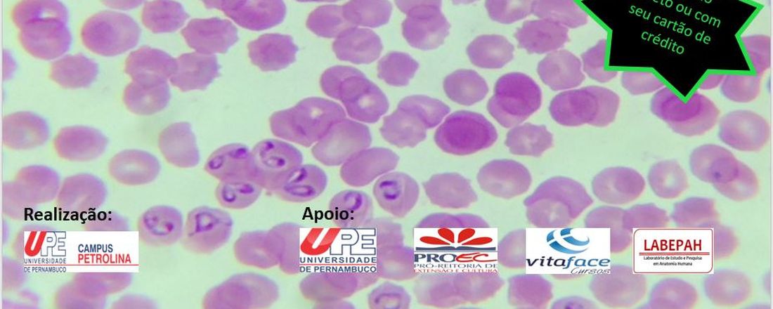 Curso de Interpretação de Hemograma para fins de Diagnósticos