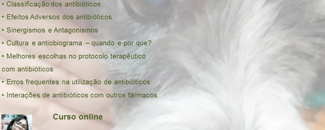 ANTIBIOTICOTERAPIA NA CLÍNICA DE CÃES E GATOS Como realizar a escolha correta do antibiótico na clínica de cães e gatos