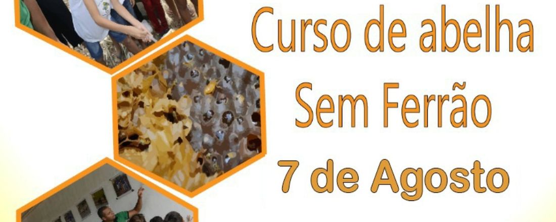 Curso de abelha sem ferrão