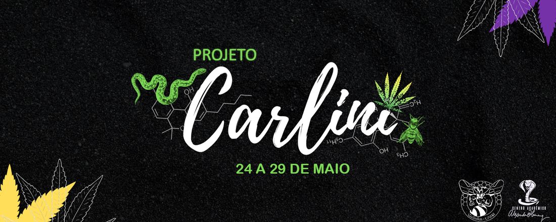 PROJETO CARLINI