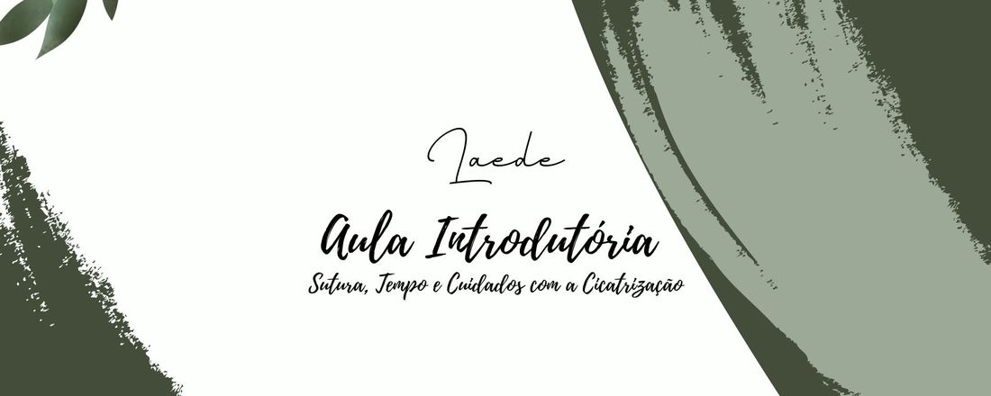 Aula Introdutória a Sutura Simples, Tempos e Cuidados com a Cicatrização