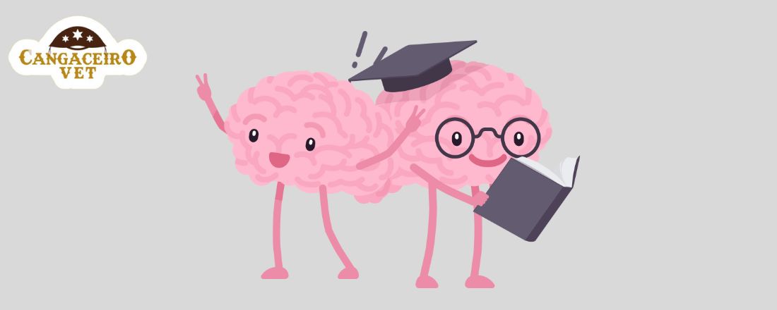 CURSO INTENSIVO EM NEUROLOGIA VETERINÁRIA