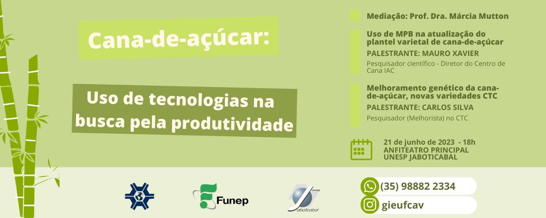 Cana-de-açúcar: Uso de tecnologias na busca pela produtividade