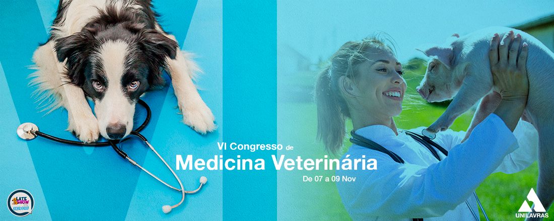 VI Congresso Medicina Veterinária