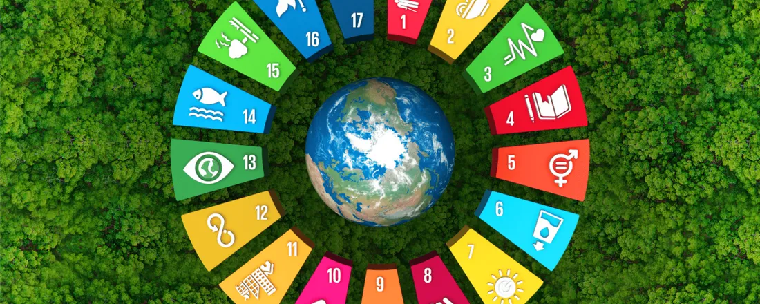 Conferência Regional dos ODS - etapa Grande ABC