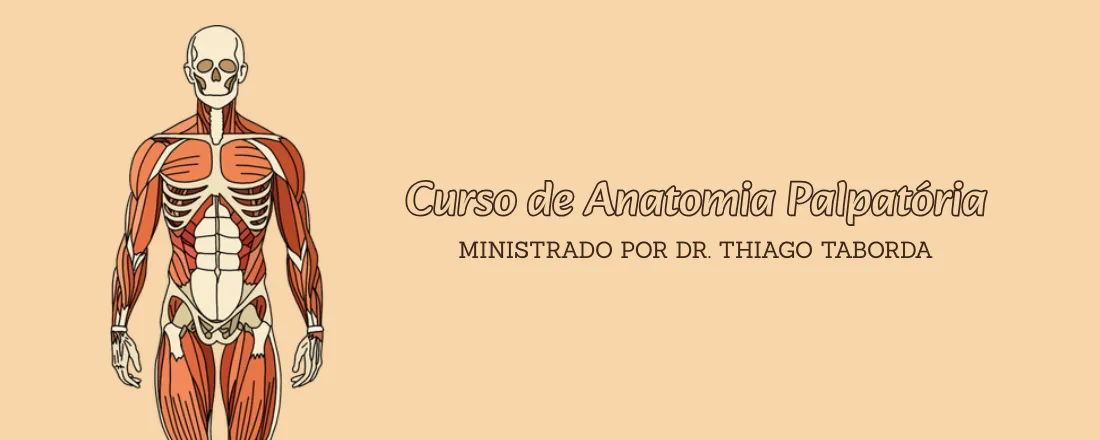 Curso Anatomia Palpatória