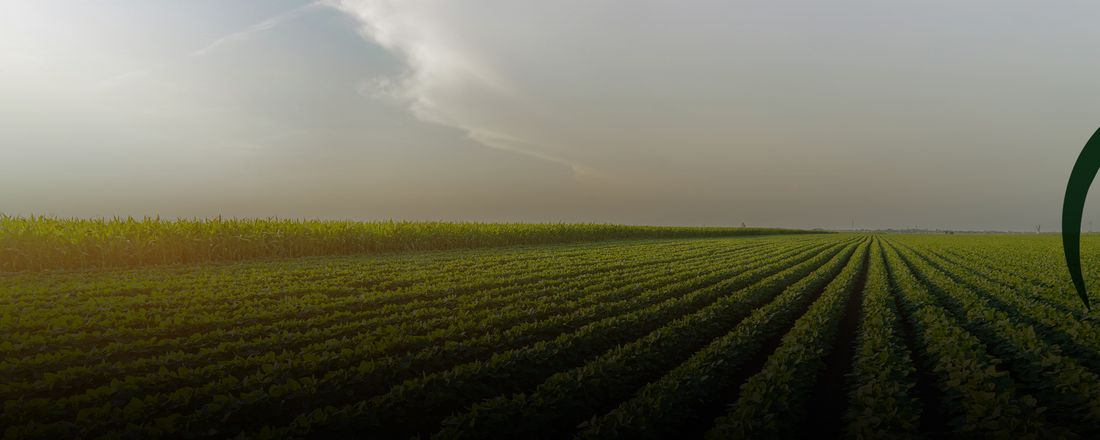 1° Webinar: Circuito Agro