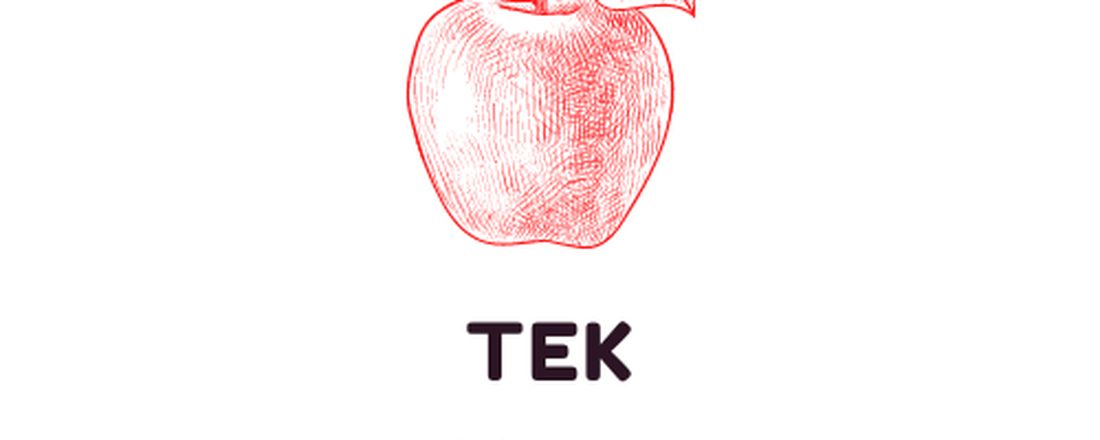 TEK- TROCA DE EXPERIÊNCIAS KRIATIVESE