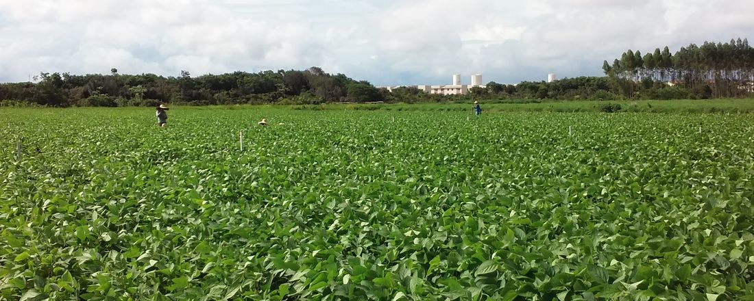 O espaço rural no desenvolvimento da Amazônia no século 21